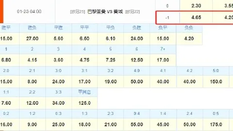郑栅洁主任会见印尼国家经济委员会主席卢胡特十大世界杯投注网站大全平台：携手共筑一带一路新篇章